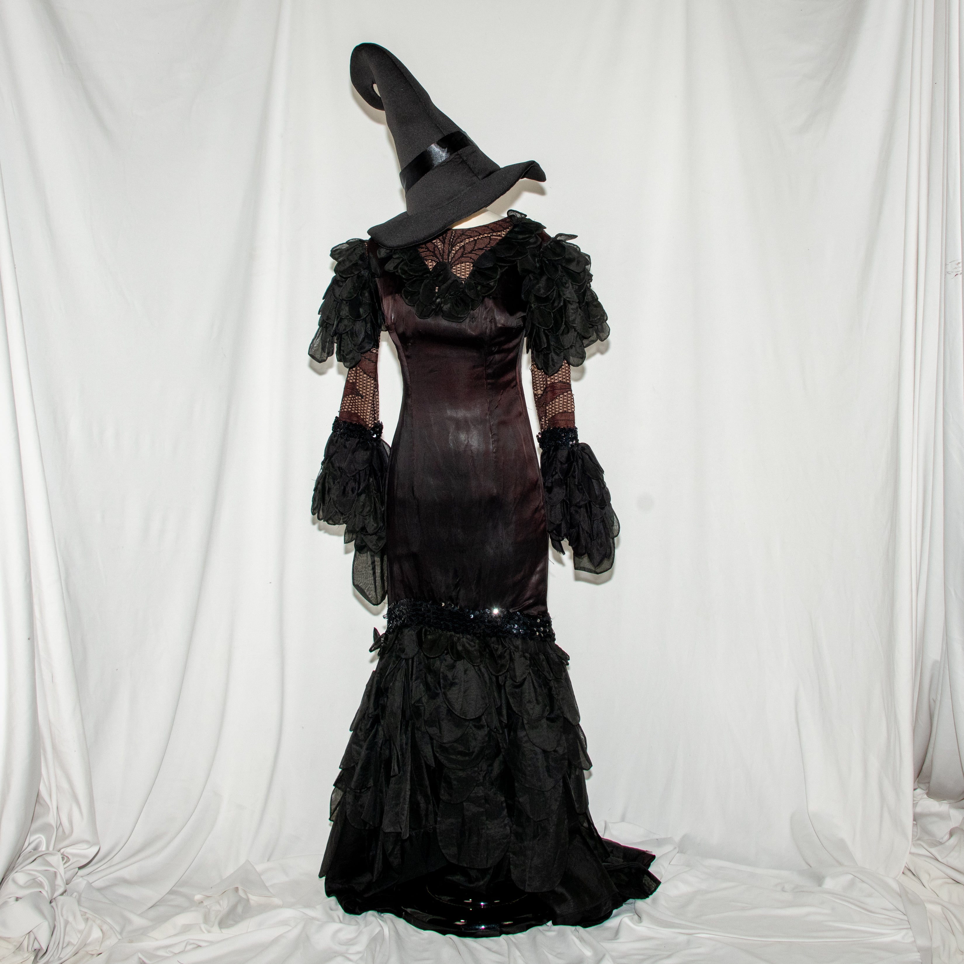 Wicked Witch Costume