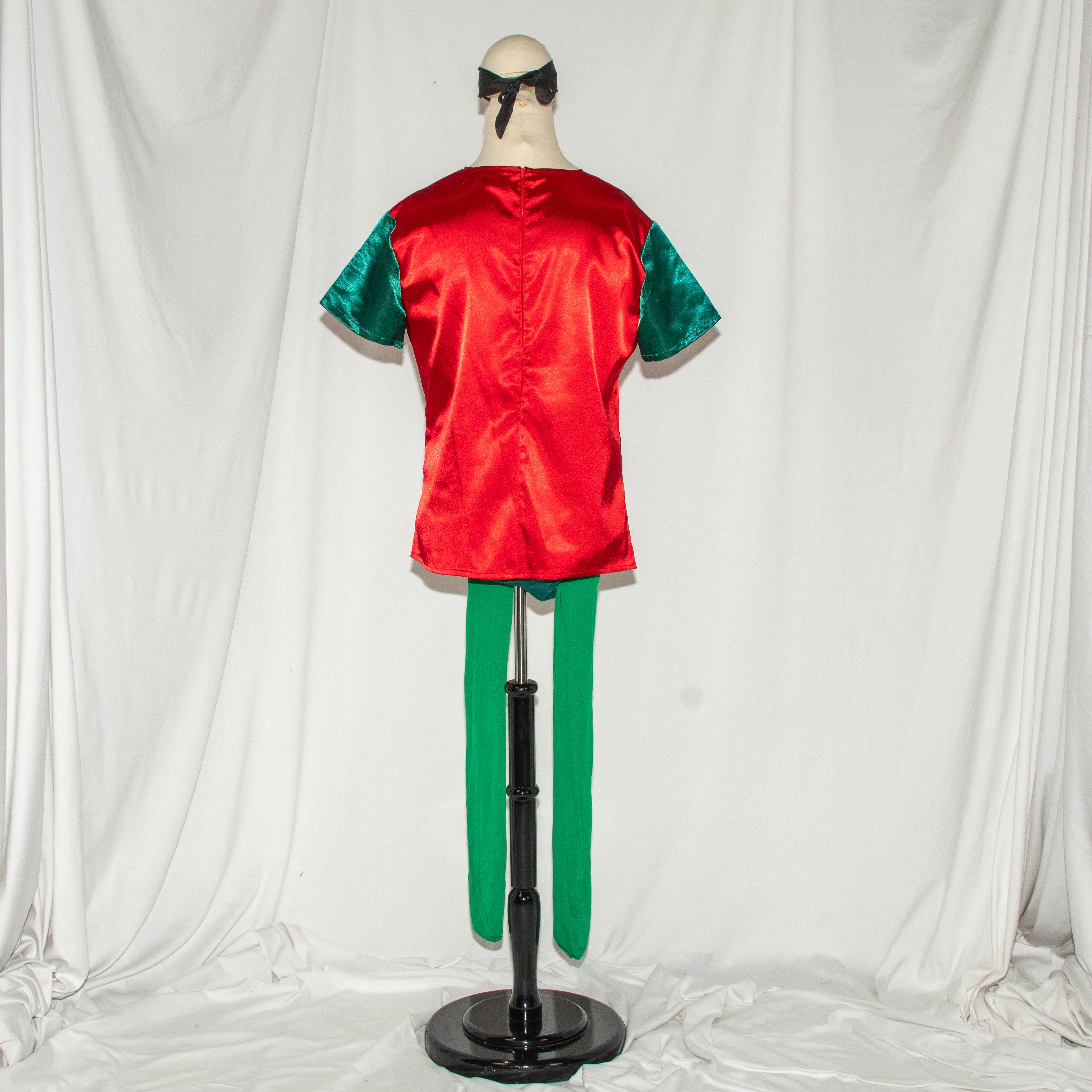 Robin Classic Sidekick Costume