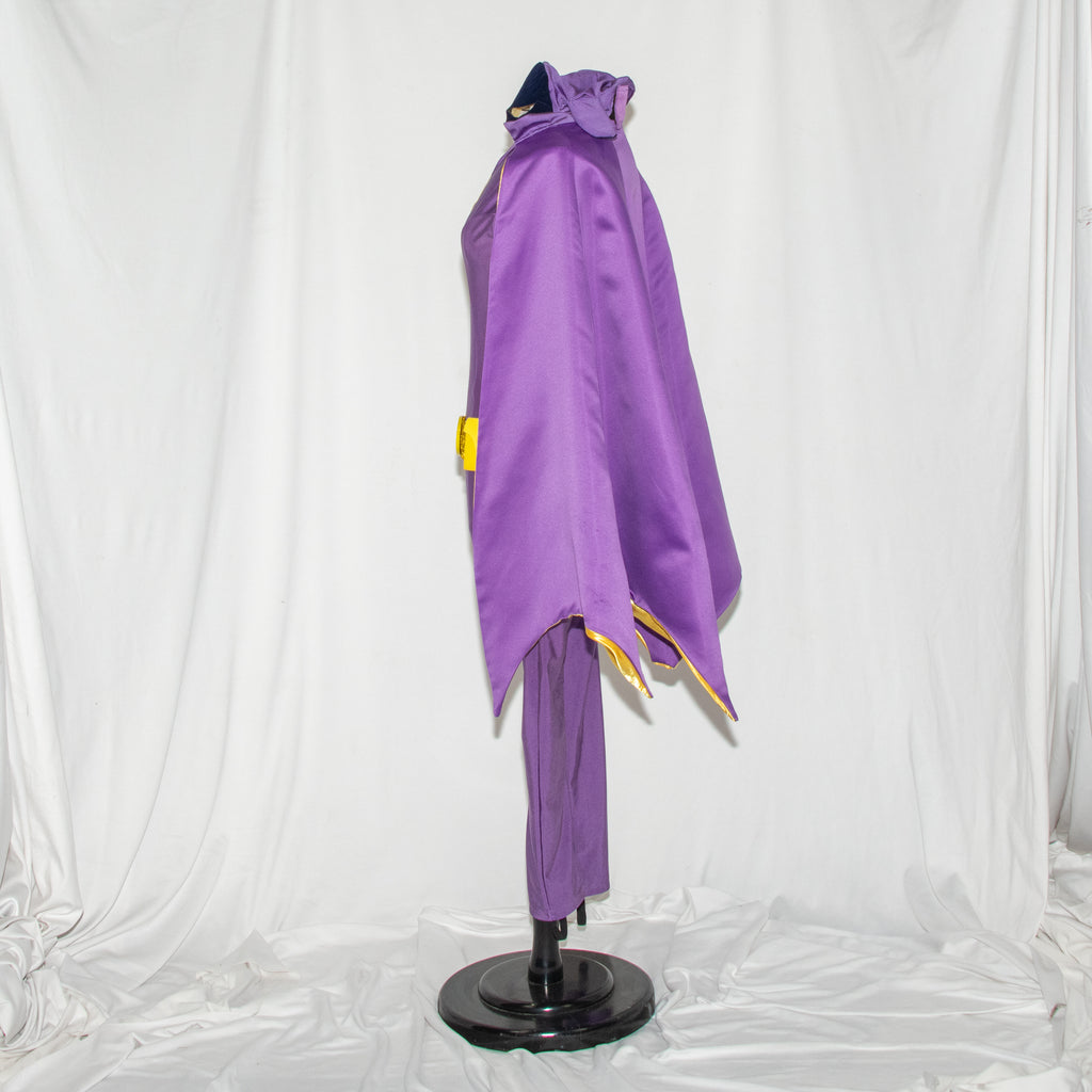 Batgirl Superhero Costume