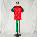 Robin Classic Sidekick Costume