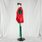 Robin Classic Sidekick Costume