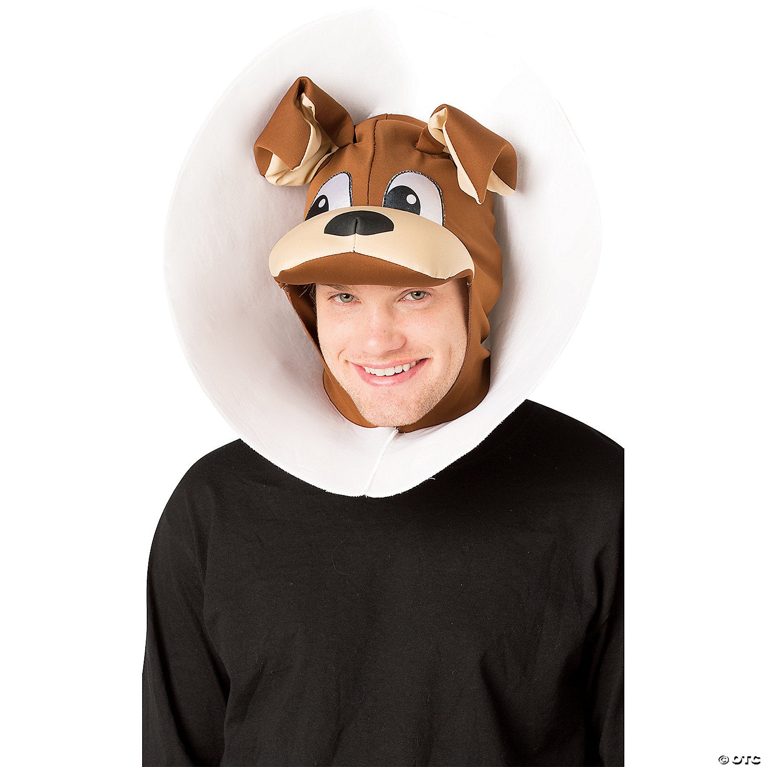 Puppy In Cone Hat